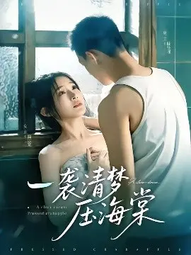 梦回繁华：解读《一袭清梦压海棠》的诗意与爱情