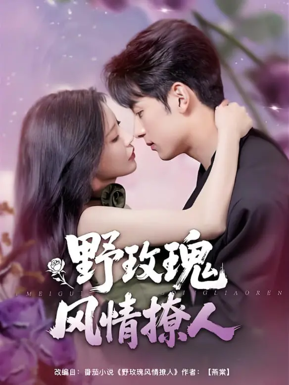 《野玫瑰风情撩人》：乱世年代的绝美爱情，女性觉醒与命运的抗争