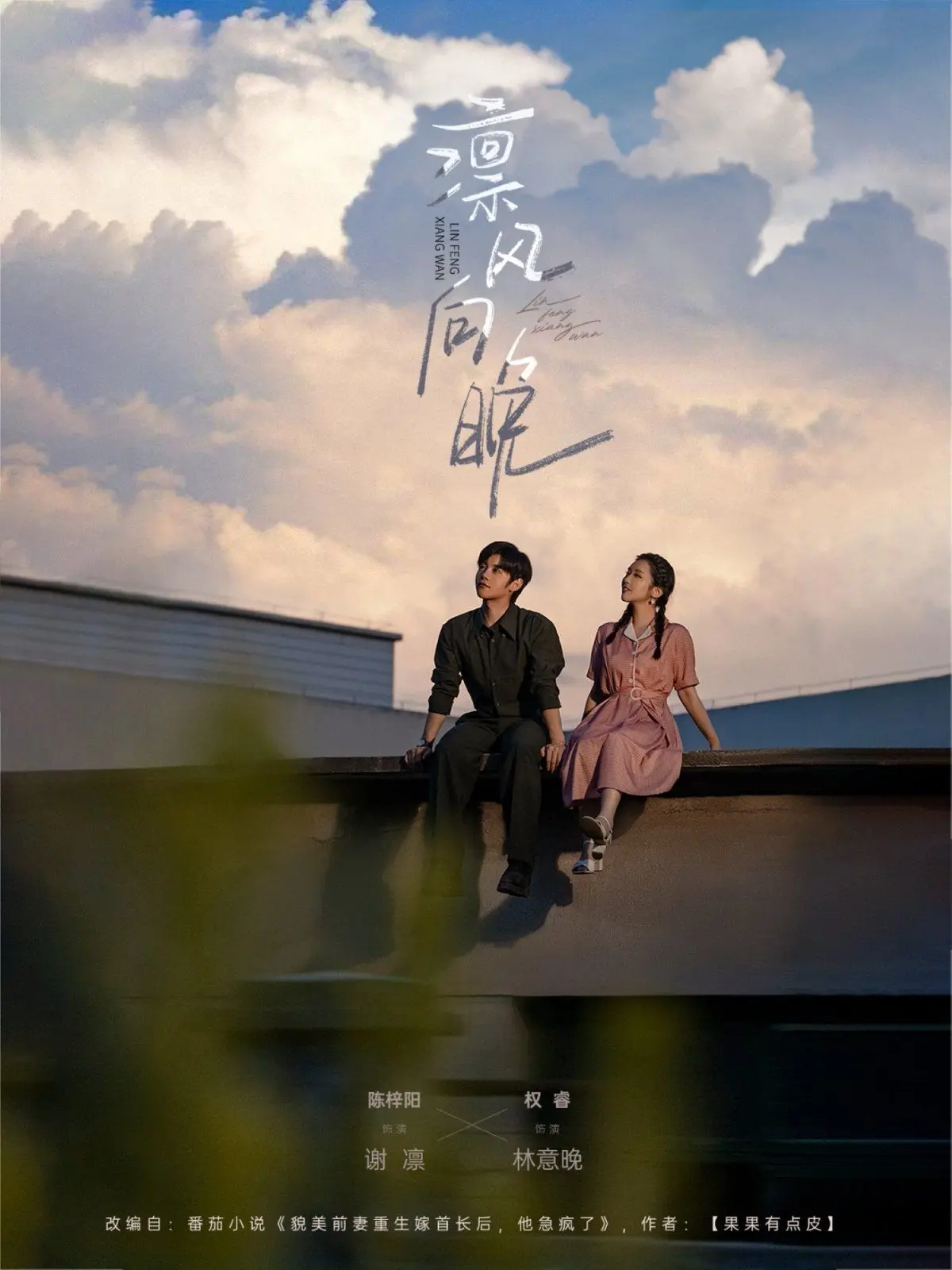 《凛风向晚》：当都市狂医重生成救赎者，凛冽风中，晚霞下的温情生死局！